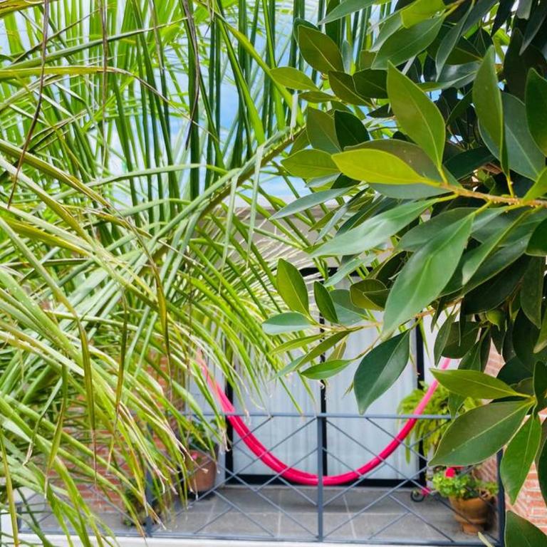 Alojamiento entero Casa Tozcano - Three-Bedroom House - 3
