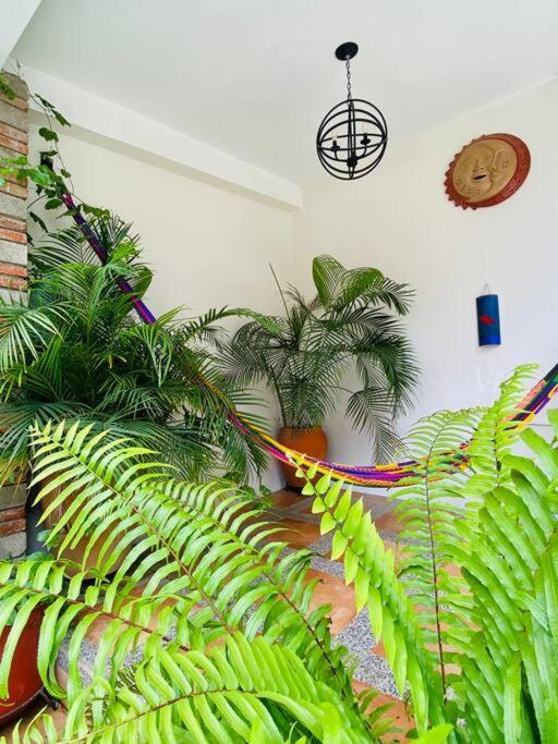 Alojamiento entero Casa Tozcano - Three-Bedroom House - 13