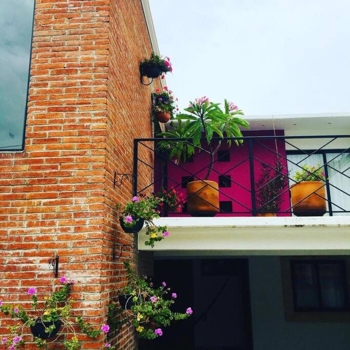 Alojamiento entero Casa Tozcano - Three-Bedroom House - 20