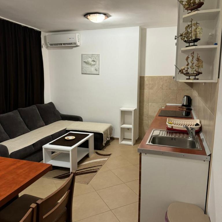 Apartman ANNA Đenovići - Apartment - 22