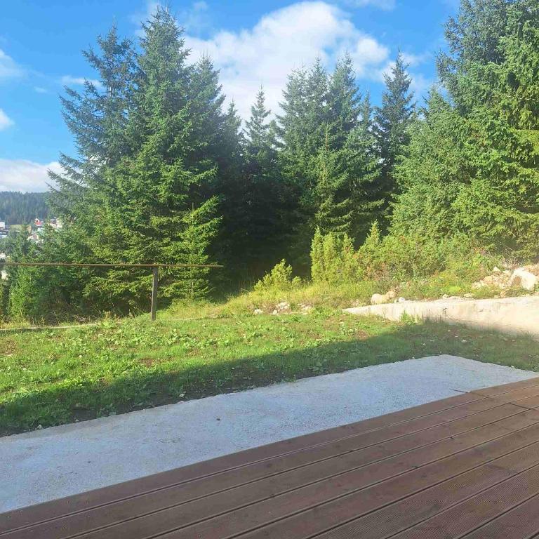 Bungalows Tea Žabljak - One-Bedroom Apartment - 22