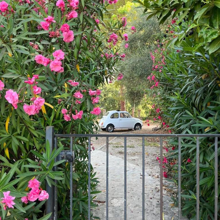 3 pièces au dernier étage dans bastide grassoise - Apartamento de 2 dormitorios - 32