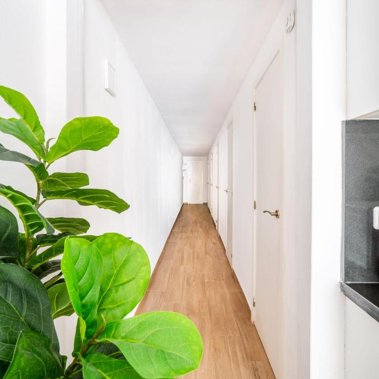 The Collection Barcelona - Eixample 4BD 2BTh with private Terrace - Apartment - 16
