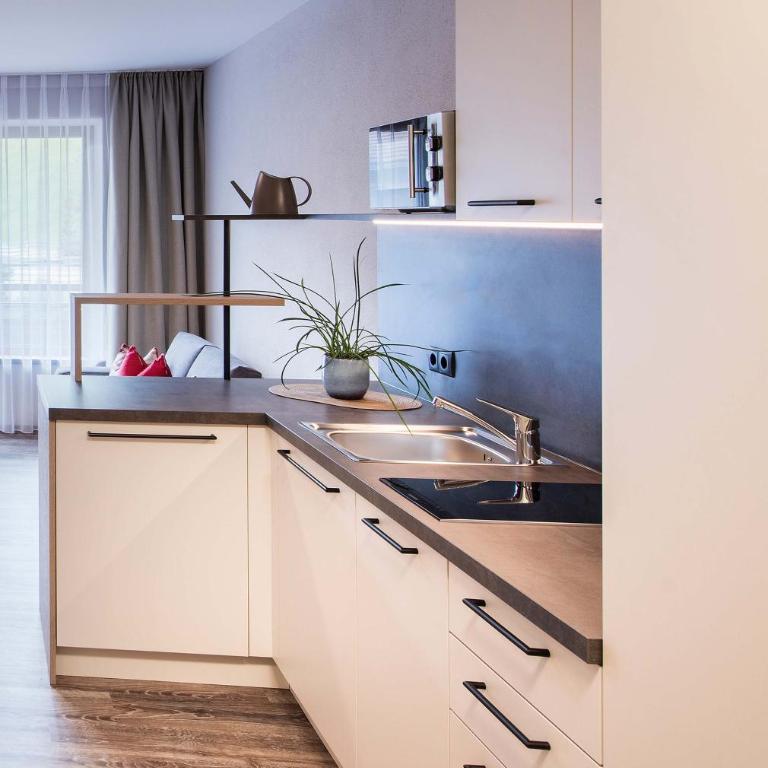 PRIVATE HOMES Alpin Spa Apartments - Deluxe Double Room - 4