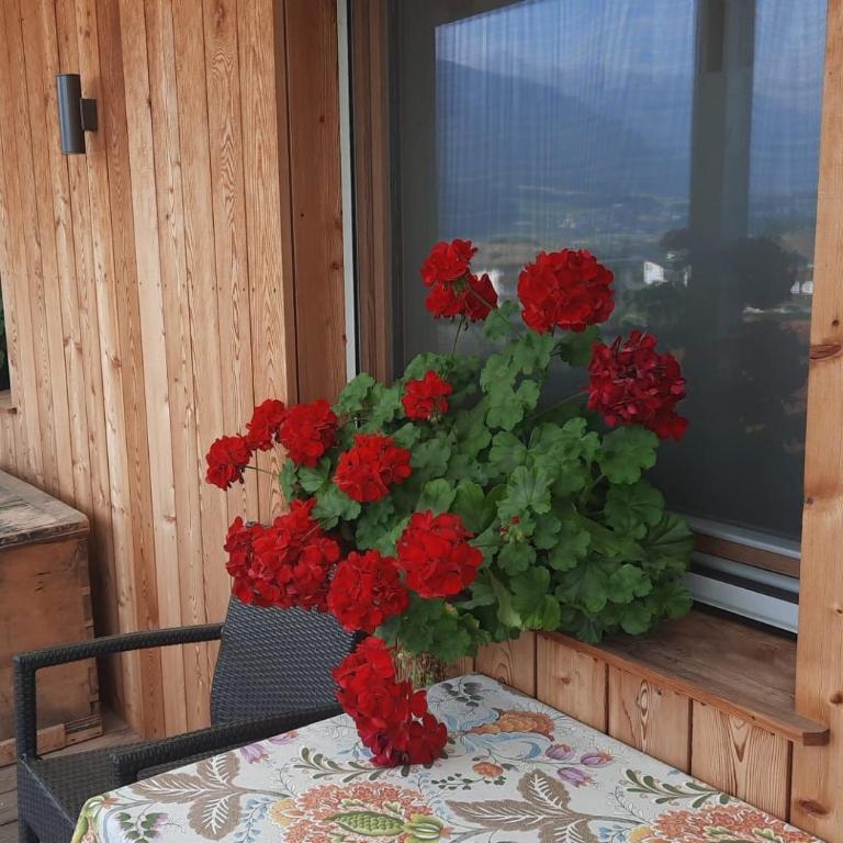 Lerchnhof - Appartamento con 2 Camere da Letto - 14