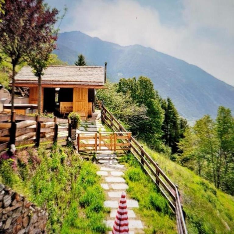 Chalet Berghof L'Aret in Val di Rabbi - Appartamento con 1 Camera da Letto, Balcone e Vista Montagna - 19