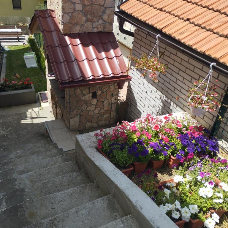 Apartment Sanja - Apartman sa 1 Spavaćom Sobom - 13