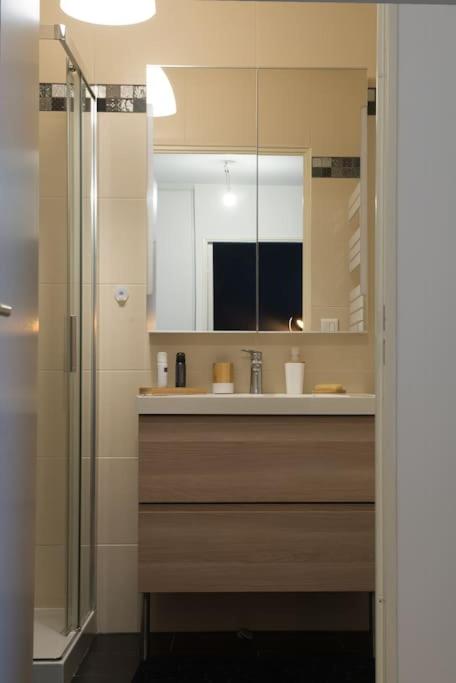 Chez Fany - Superbe appartement en résidence avec parking - Apartment mit 1 Schlafzimmer - 3