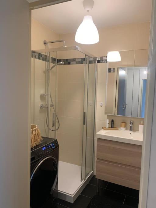 Chez Fany - Superbe appartement en résidence avec parking - Apartment mit 1 Schlafzimmer - 8