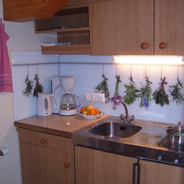 Pension Felsenheim - Studio-Apartment ohne Verpflegung - 3