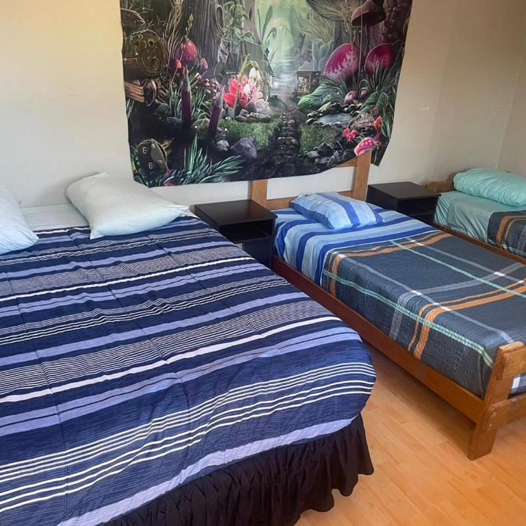 El valle - Triple Room - 7