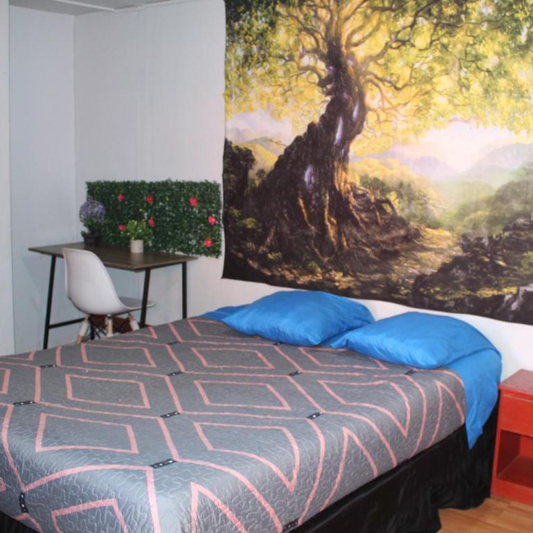 El valle - Deluxe Single Room - 1