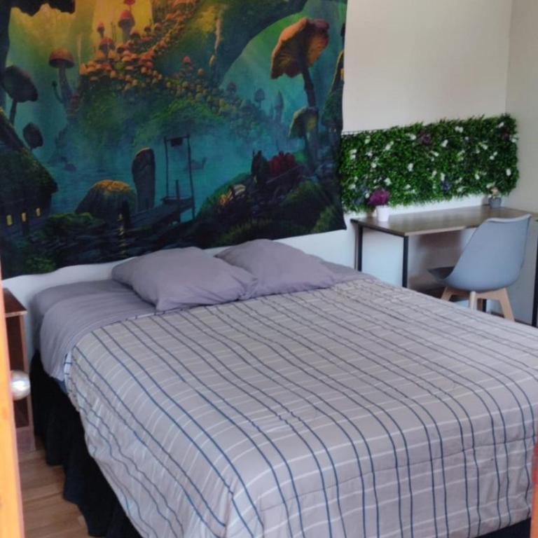 El valle - Deluxe Single Room - 10