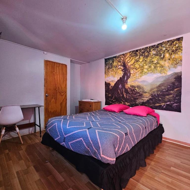 El valle - Deluxe Single Room - 5