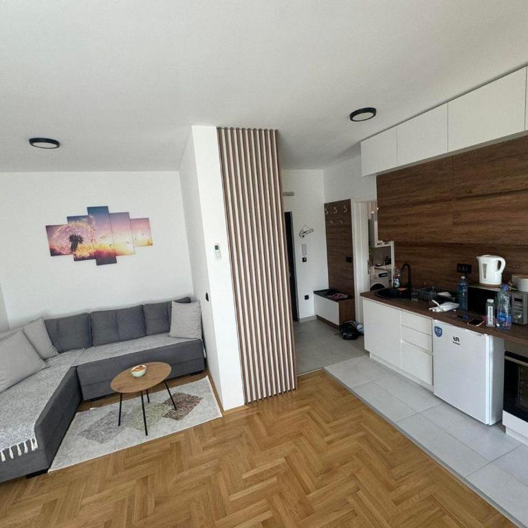 Panorama view apartment - One-Bedroom Apartment - 4