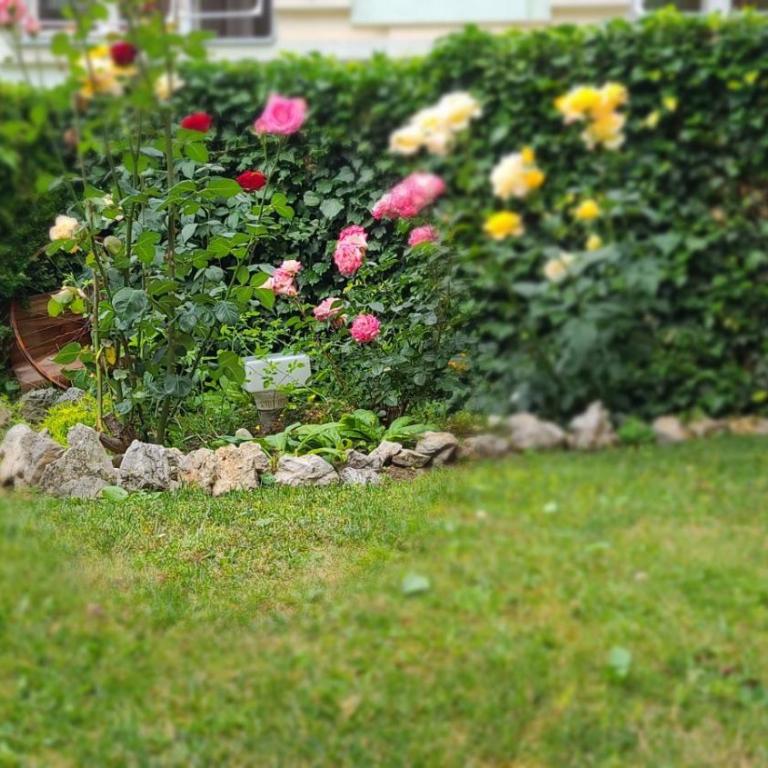 Happy Star - Standardna Dvokrevetna Soba sa Zasebnim Krevetima - 10