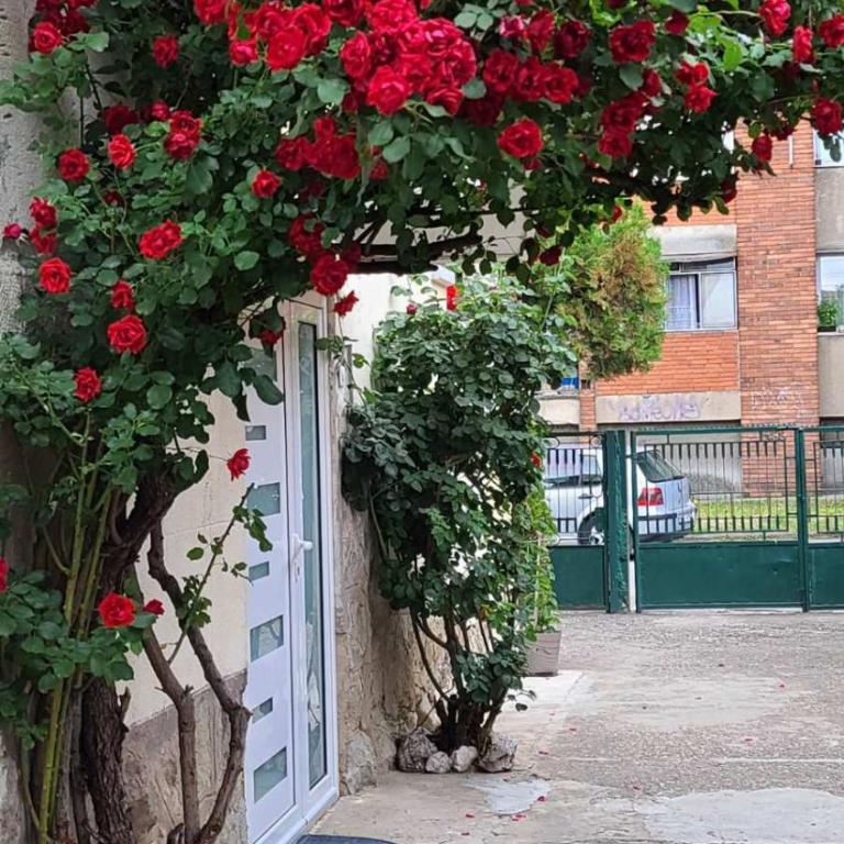 Happy Star - Studio Apartman - 12