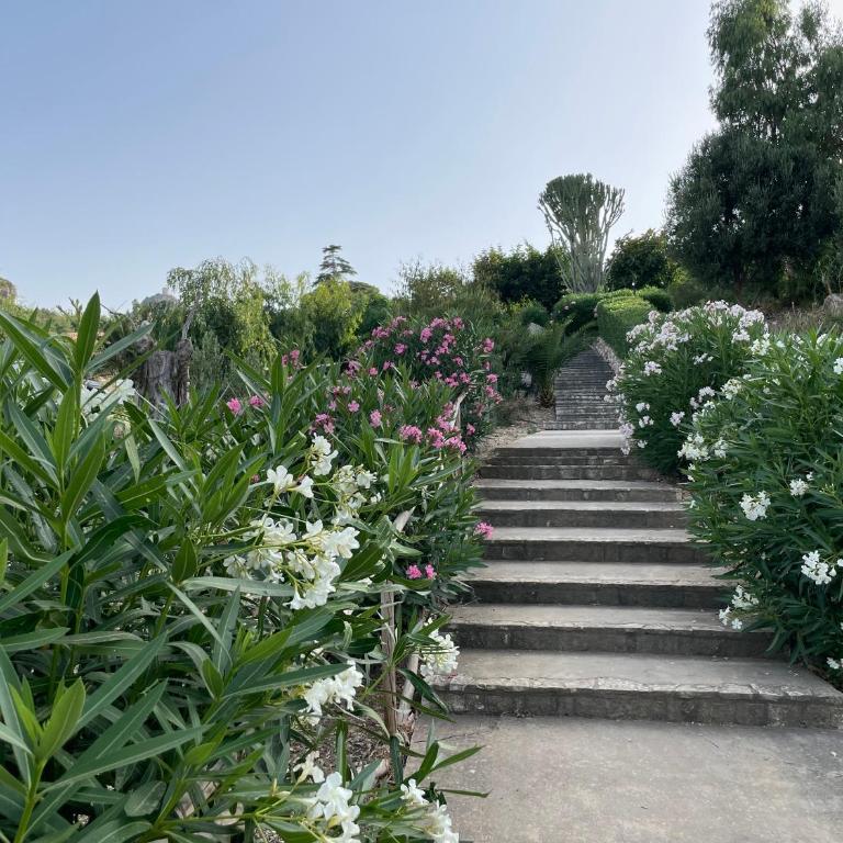 Villa Hibiscus Scopello - Ferienhaus - 28
