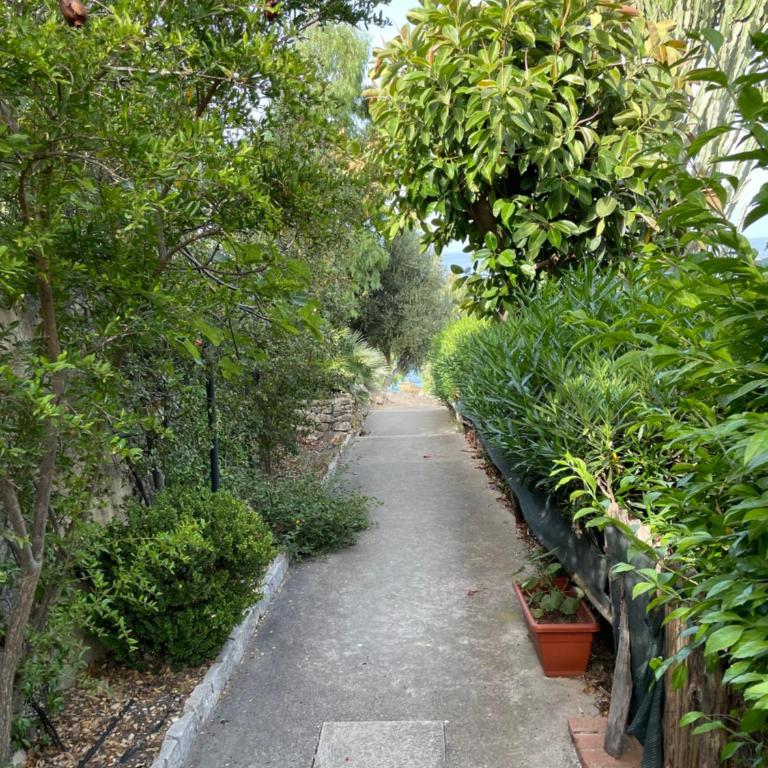 Villa Hibiscus Scopello - Ferienhaus - 33