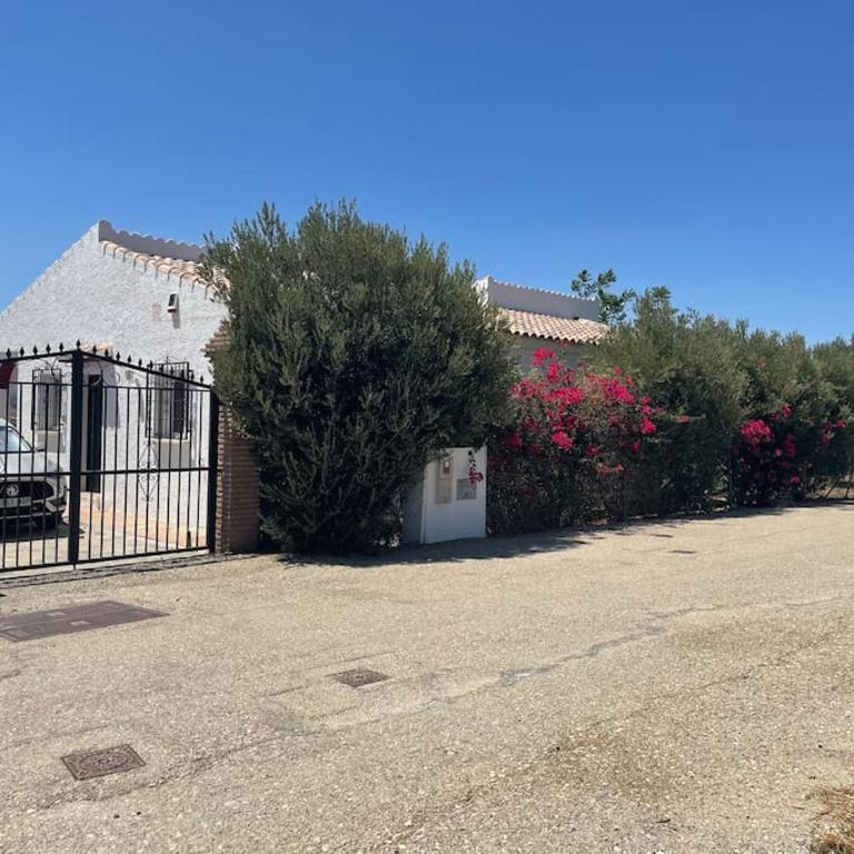 Villa in Alcaucin - Villa de 3 dormitorios - 15