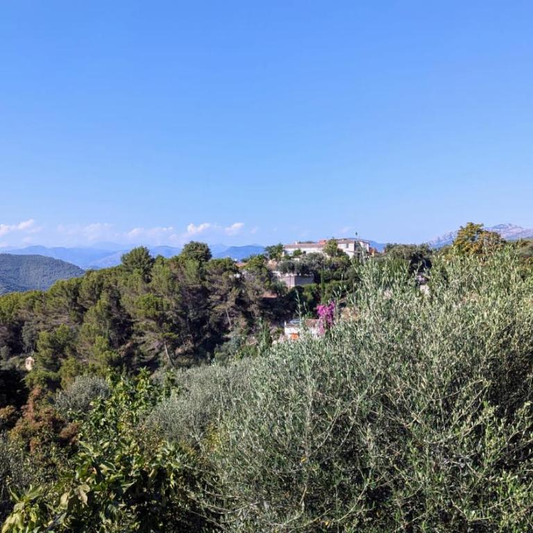 Olive Grove Retreat - Appartement 1 Chambre - 9