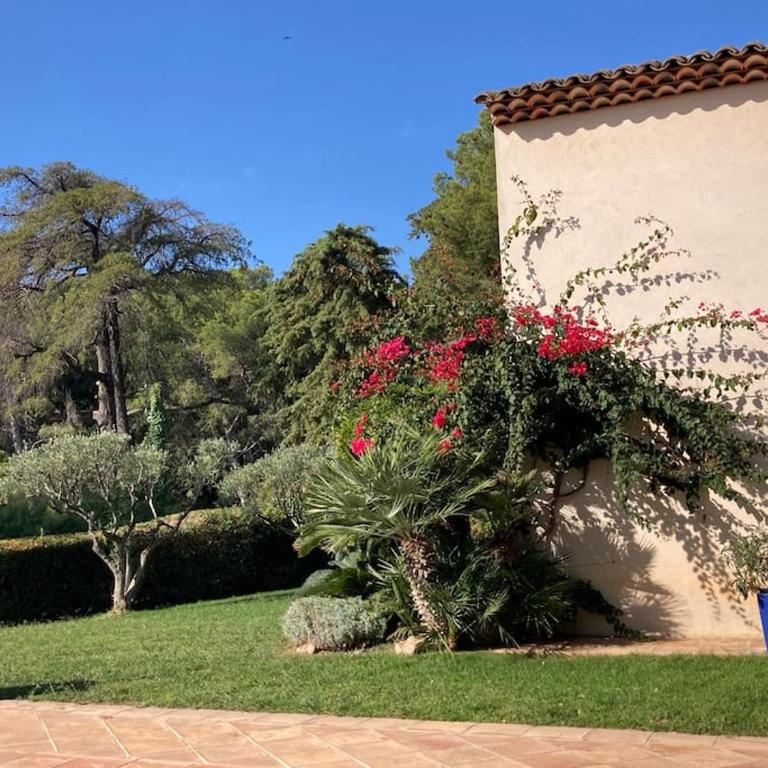 La Californienne - Villa - 15