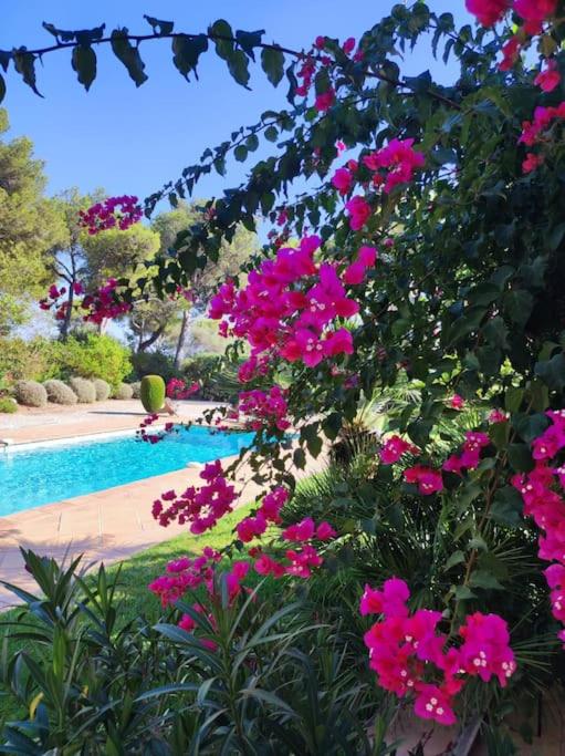 La Californienne - Villa - 16