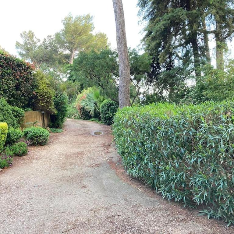 La Californienne - Villa - 41