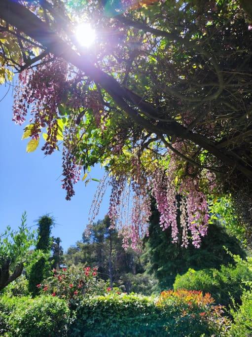 La Californienne - Villa - 44