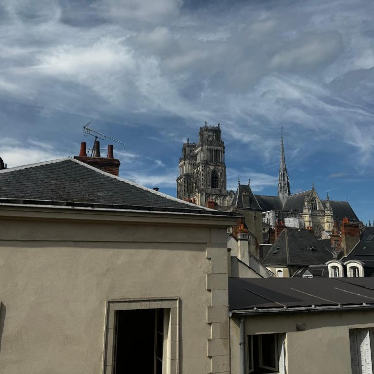 Appartement central - ORLEANS - Appartement 1 Chambre - 10