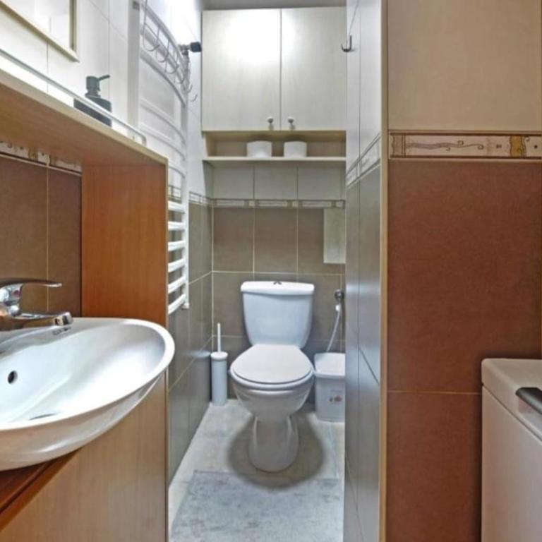 Cozy apartment near Saint Sava Temple - Apartman sa 1 Spavaćom Sobom - 6