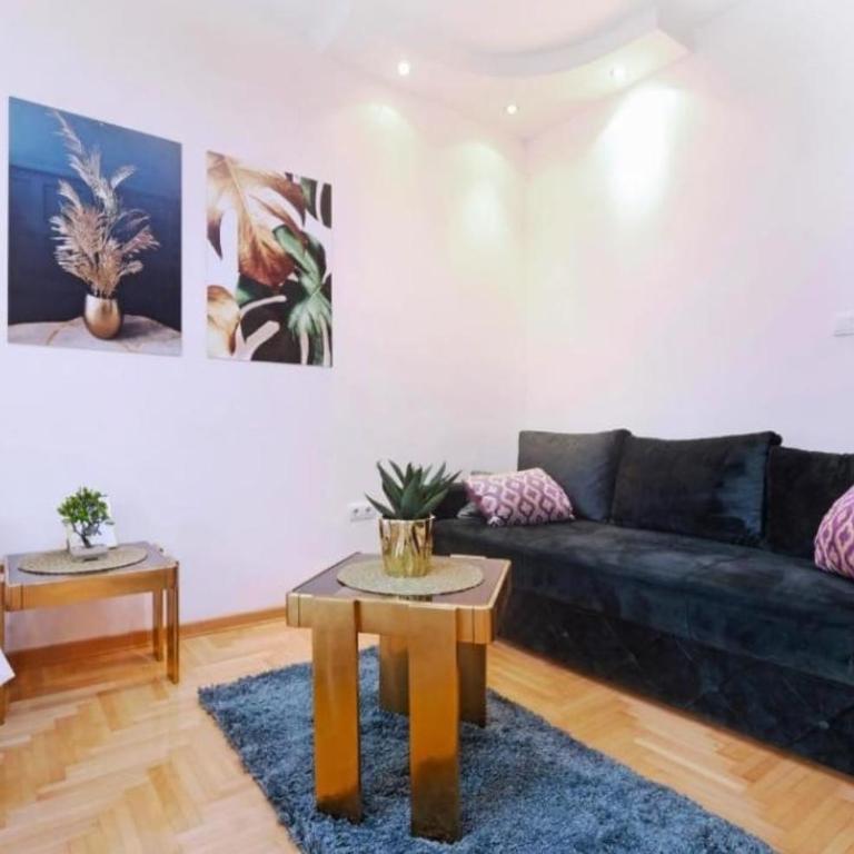 Cozy apartment near Saint Sava Temple - Apartman sa 1 Spavaćom Sobom - 13