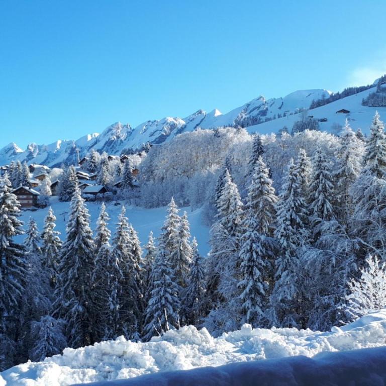 Appartement ski aux pieds, 2 chambres, terrasse et parking couvert - La Clusaz - FR-1-459-49 - Appartamento (6 Adulti) - 14