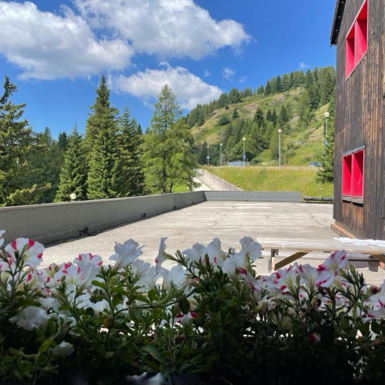Casa Mammolo Falcade - Appartamento con 1 Camera da Letto - 17