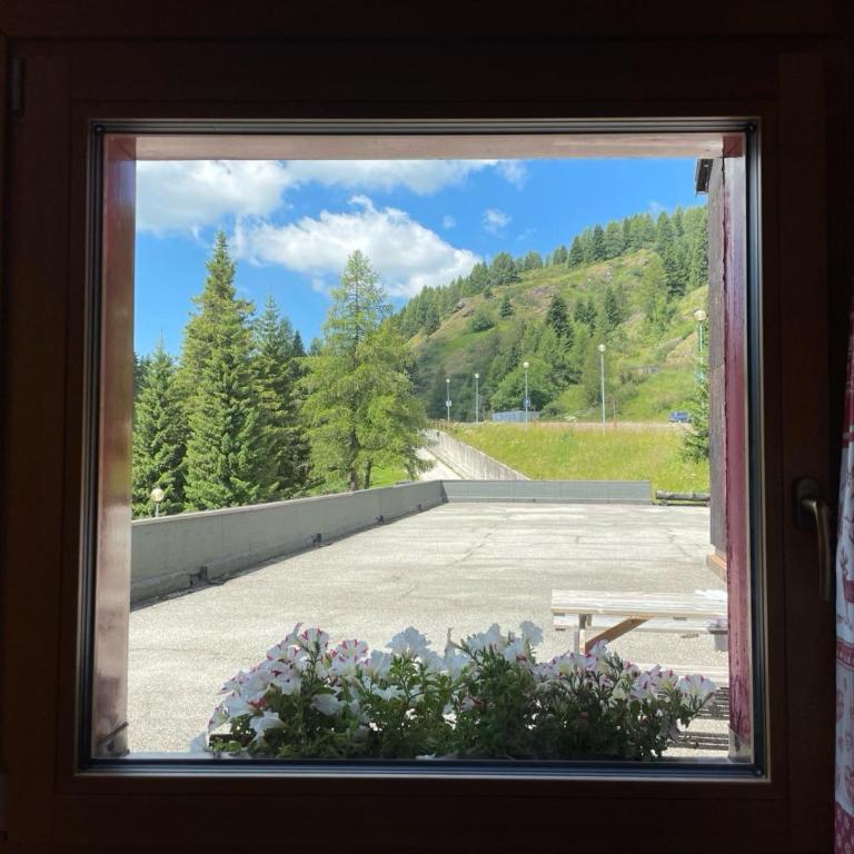 Casa Mammolo Falcade - Appartamento con 1 Camera da Letto - 18