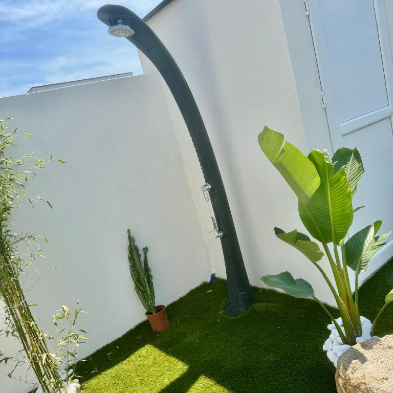 Villa Vanille Cap d Agde Luxe piscine chauffée 5 étoiles - Villa - 50
