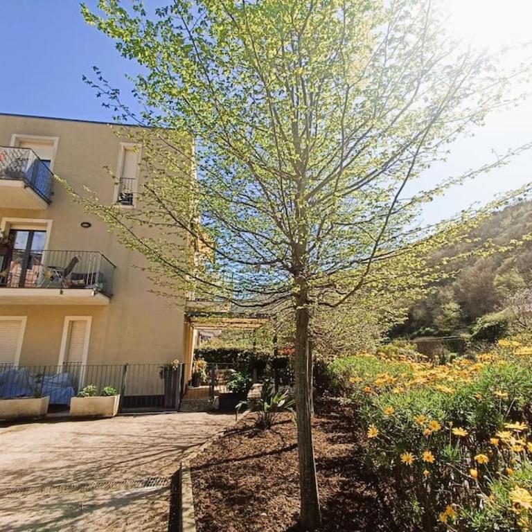 appartamento raggio di sole - Appartamento con 1 Camera da Letto - 5