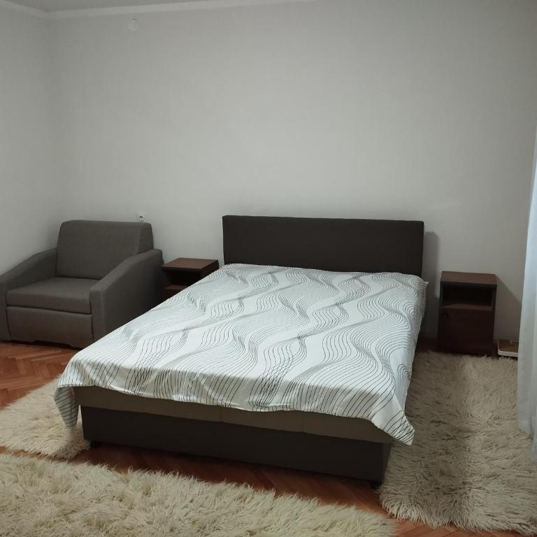 Apartmani Mladenovic - Apartman sa 1 Spavaćom Sobom - 12
