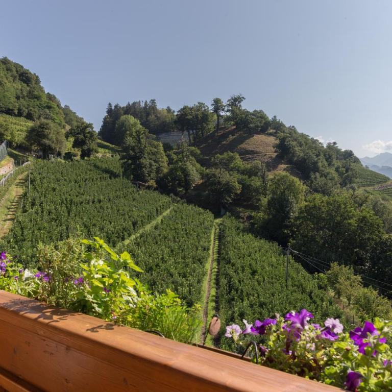 Obergostnerhof - Apartamento con balcón - 17