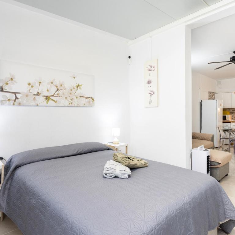 Live Drago Ten Bel C Hercules - Apartamento de 1 dormitorio - 9