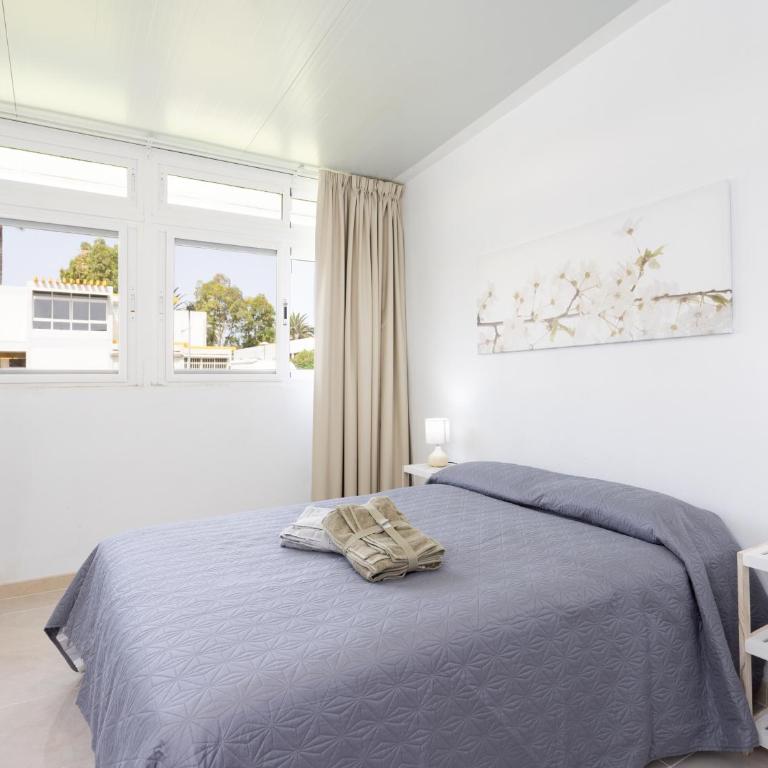Live Drago Ten Bel C Hercules - Apartamento de 1 dormitorio - 5