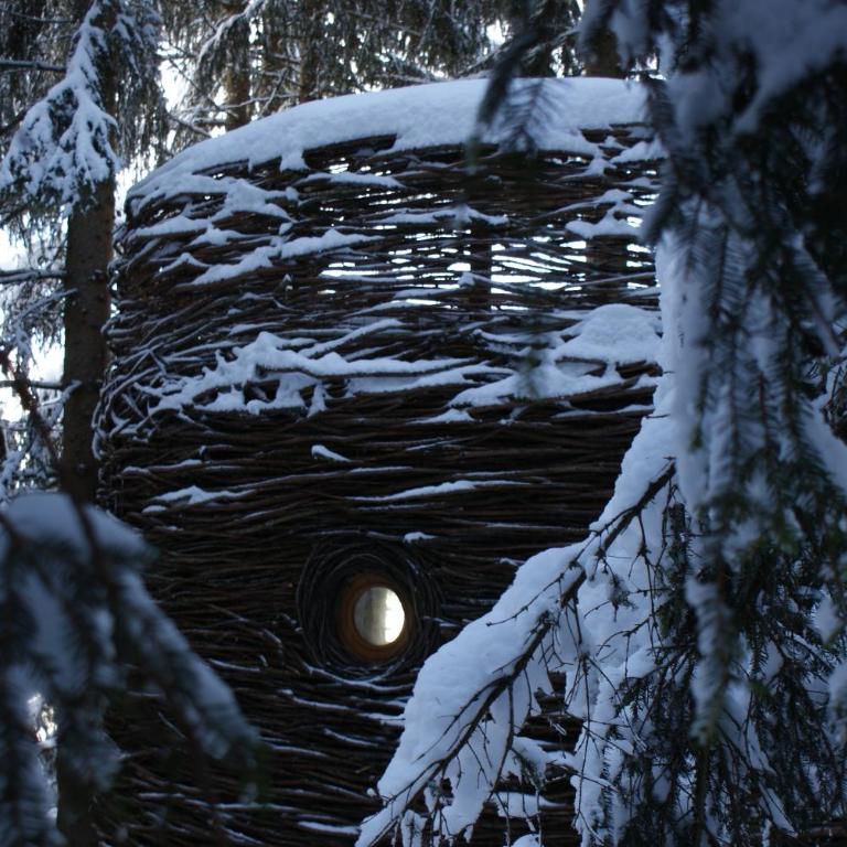 Cabane entre terre et ciel - Cabane dans les Arbres Nid - 24