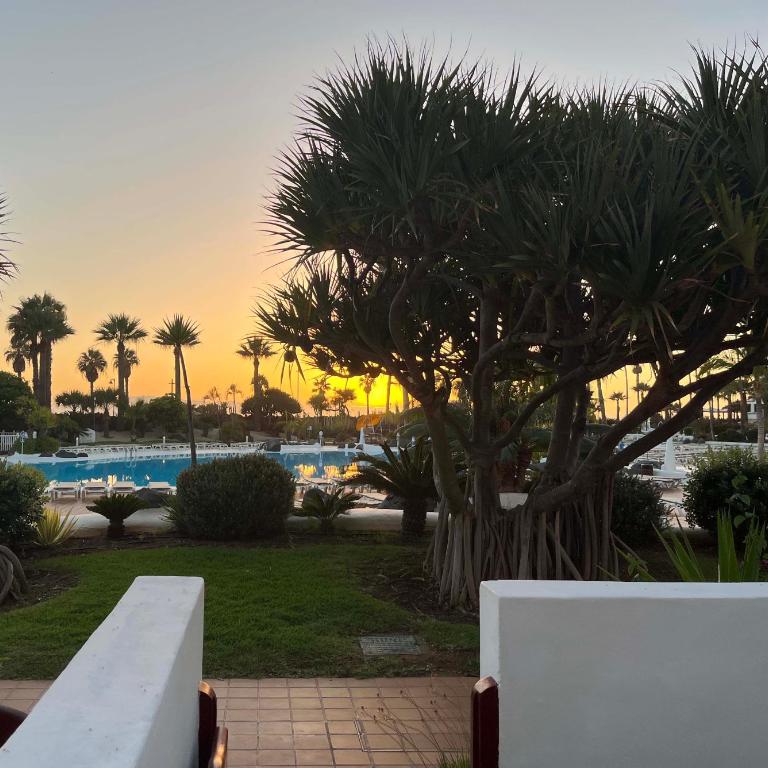 Prime garden-view Studios - One-Bedroom Apartment - 14