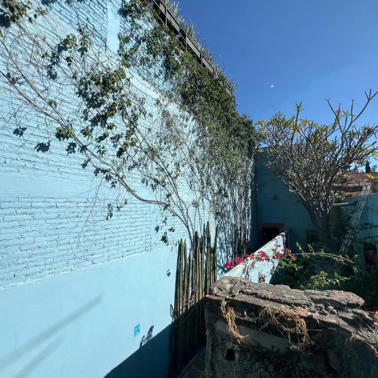CASA MAC San Miguel de Allende - Apartamento Estándar de 1 dormitorio - 7