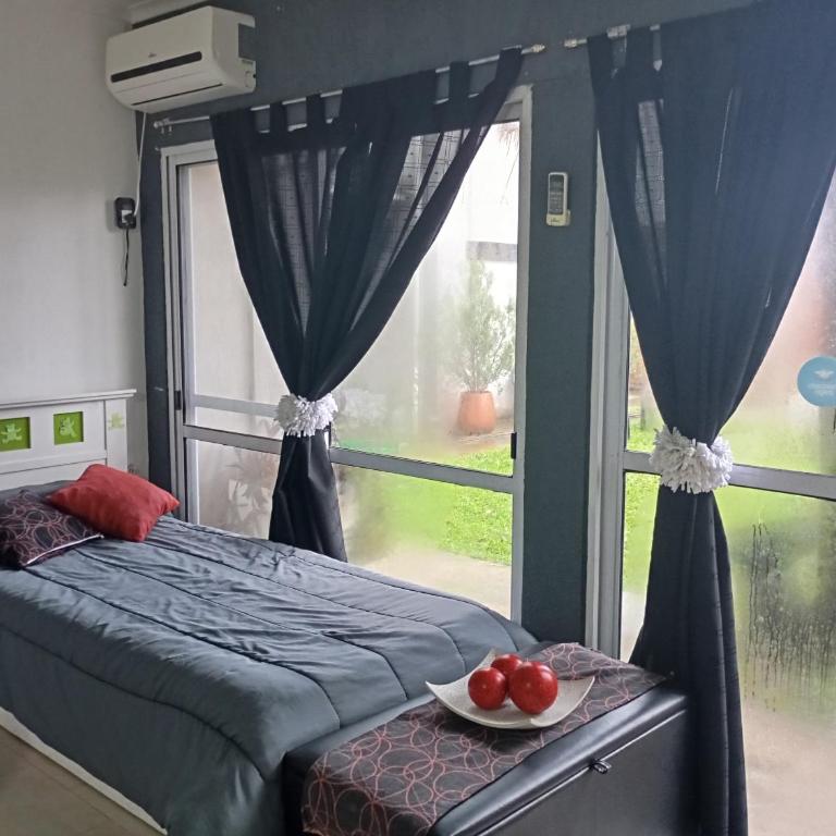 Alquimia - One-Bedroom Apartment - 38