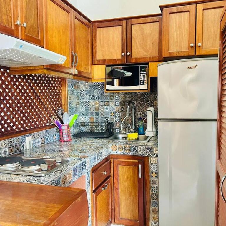 Meson del capitan 1 depa en el centro! - One-Bedroom Apartment - 15