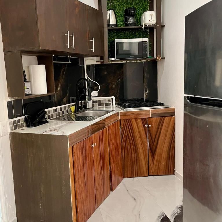 La Puerta Blanca Penthouse #8 - Apartamento de 1 dormitorio - 4
