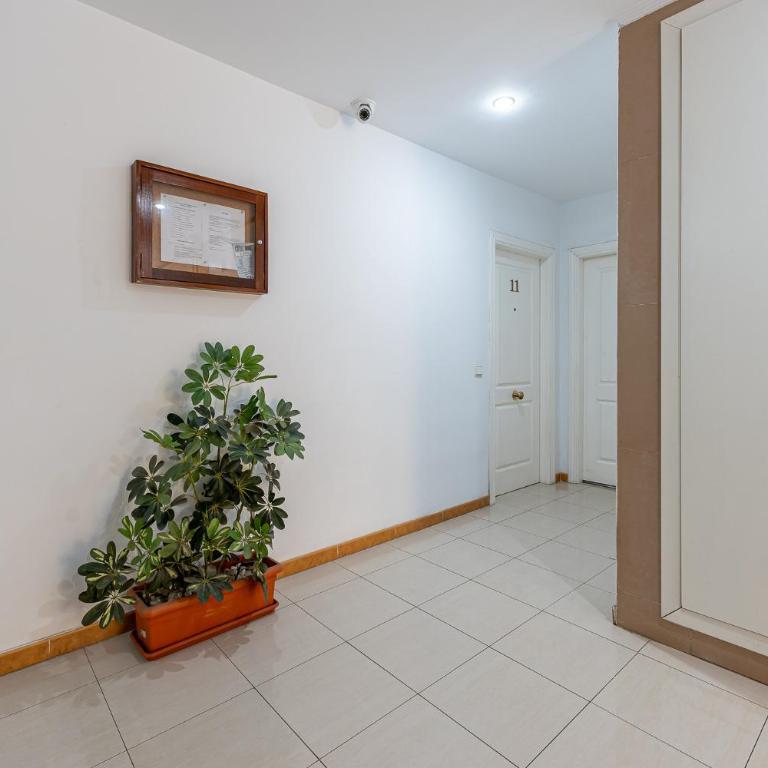 Beautiful 2 Bed Apartment Los Pacos - Two-Bedroom Apartment with Terrace - 8