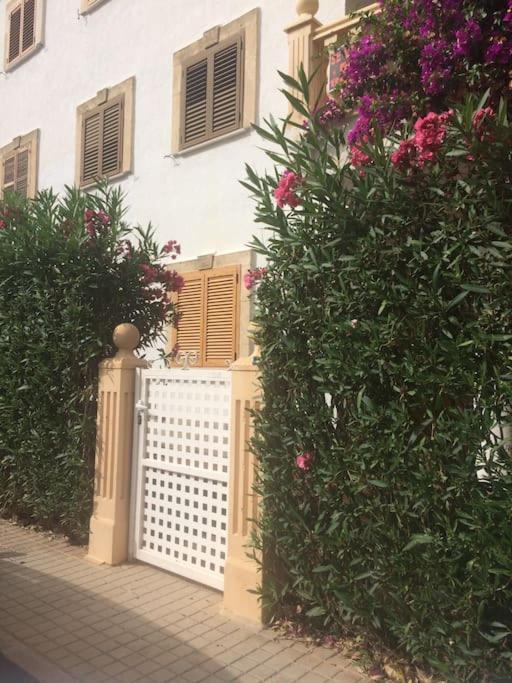 Apartamento Bajo en primera línea de playa Denia - Apartamento de 2 dormitorios - 24