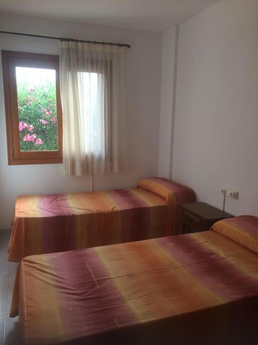 Apartamento Bajo en primera línea de playa Denia - Apartamento de 2 dormitorios - 13